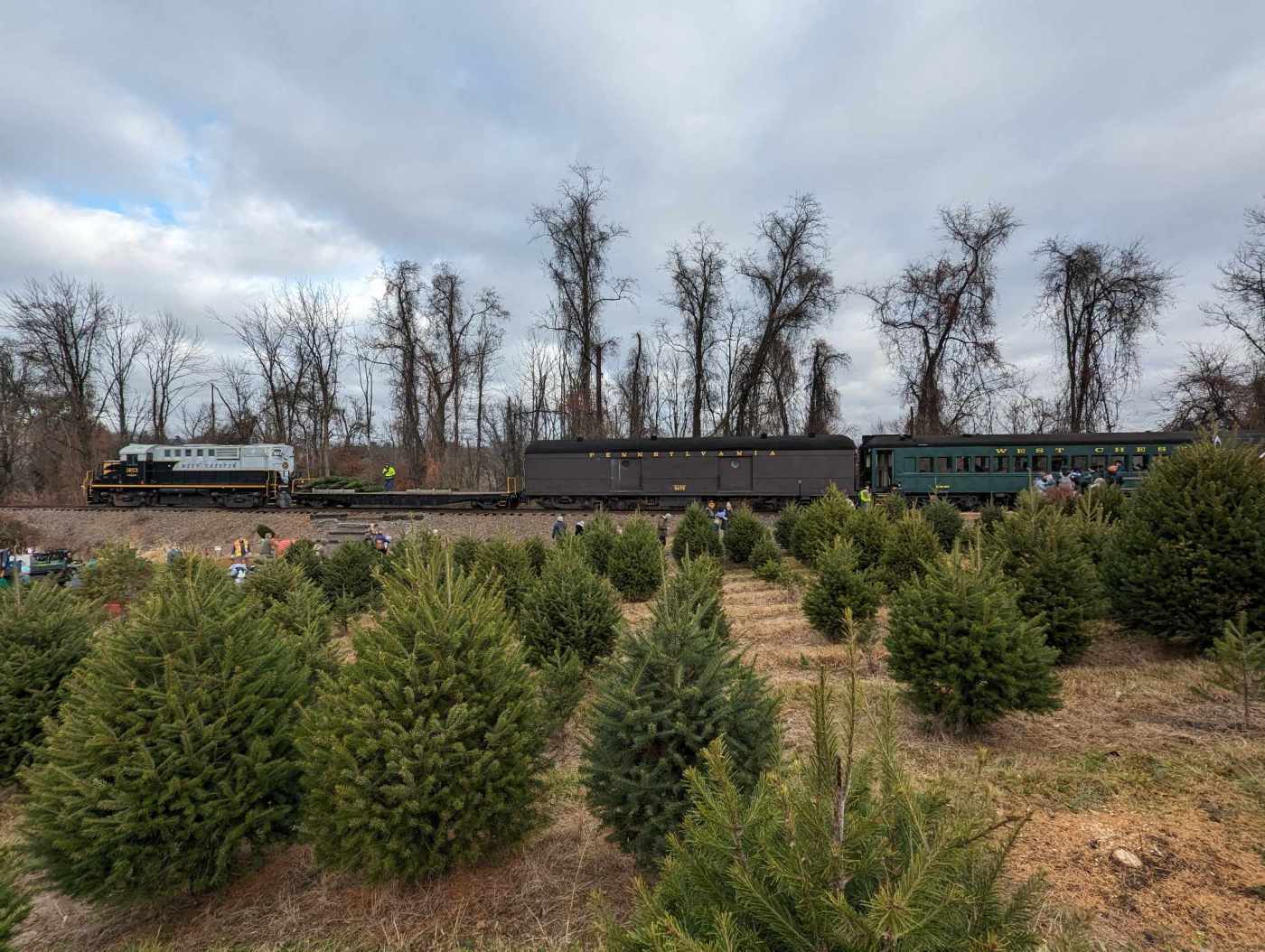 Christmas Tree Train