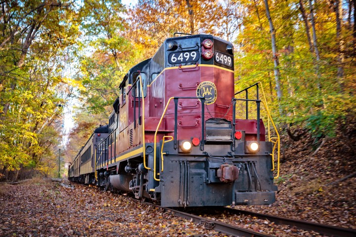 Vintage train on tracks surrounded by autumn trees.