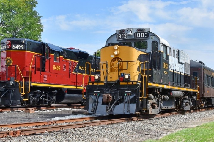 Two vintage trains on parallel tracks with trees in the background.
