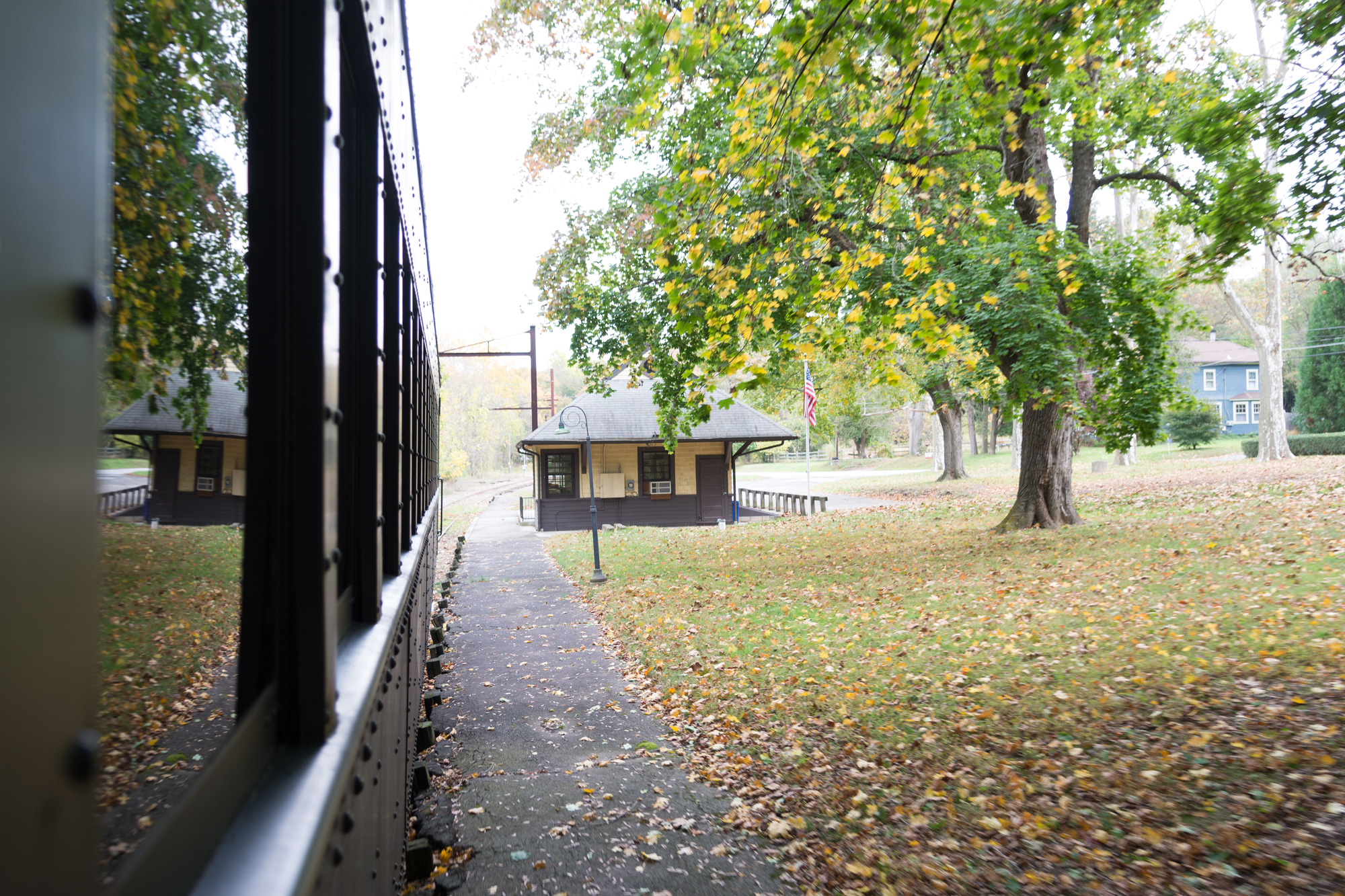 View from train of park with trees and small building